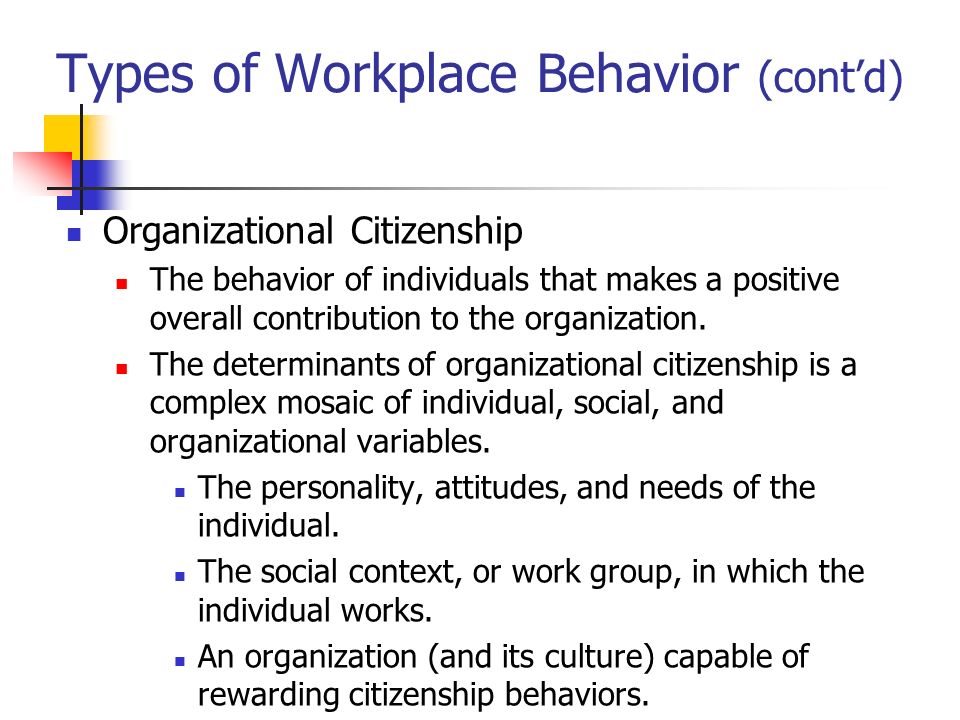Group Behavior in the Workplace